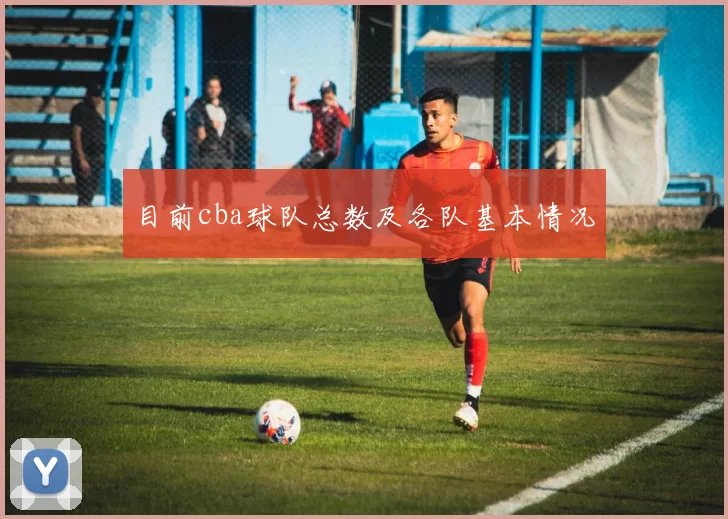 目前cba球队总数及各队基本情况