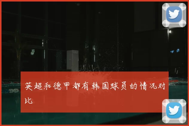 英超和德甲都有韩国球员的情况对比