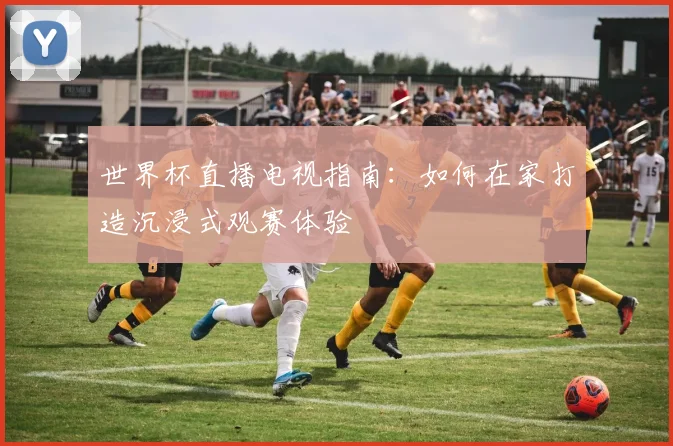世界杯直播电视指南：如何在家打造沉浸式观赛体验
