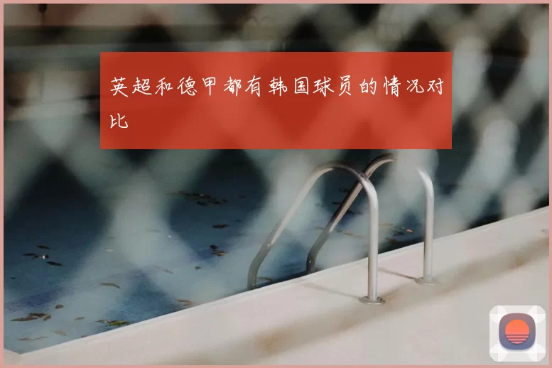 英超和德甲都有韩国球员的情况对比