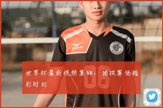 世界杯最新视频集锦，捕捉赛场精彩时刻