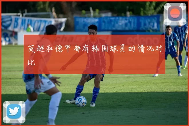 英超和德甲都有韩国球员的情况对比