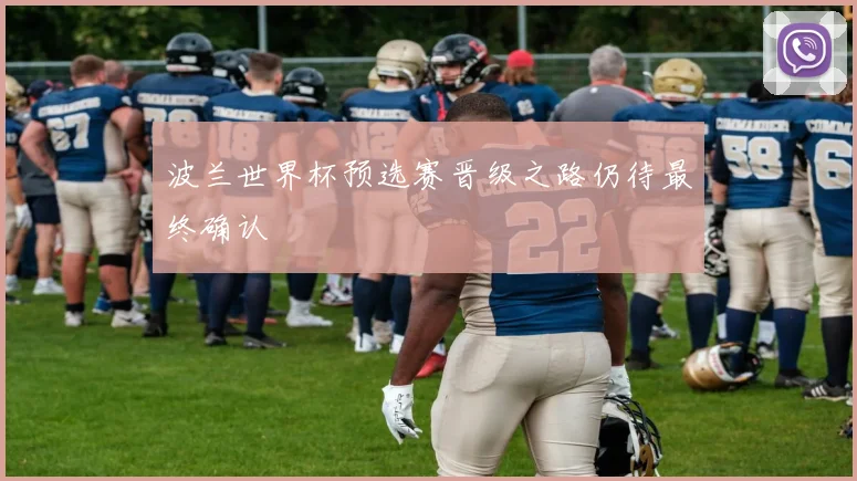 波兰世界杯预选赛晋级之路仍待最终确认