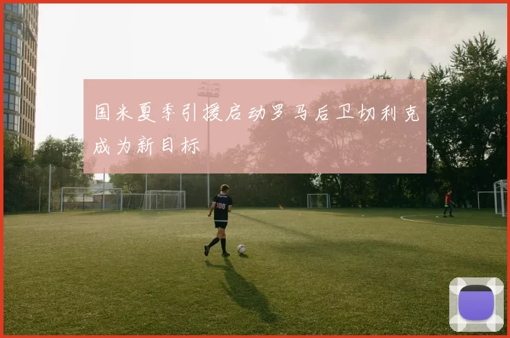 国米夏季引援启动罗马后卫切利克成为新目标