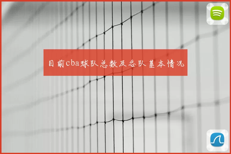 目前cba球队总数及各队基本情况