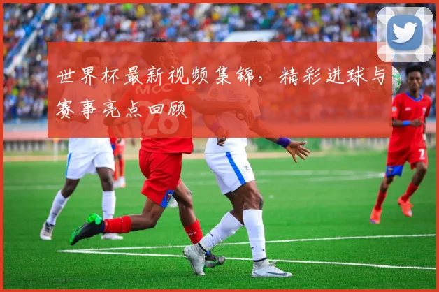 世界杯最新视频集锦，精彩进球与赛事亮点回顾