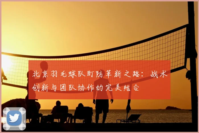 北京羽毛球队盯防革新之路：战术创新与团队协作的完美结合
