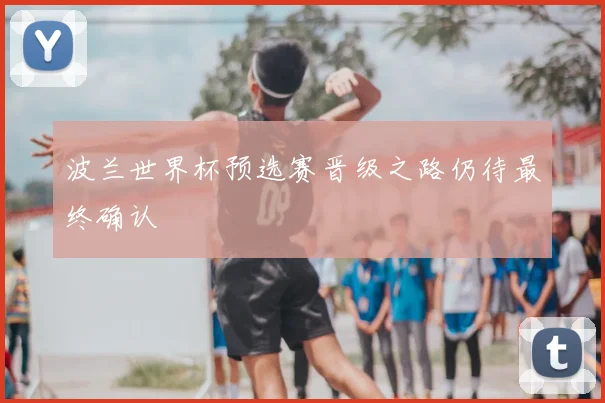波兰世界杯预选赛晋级之路仍待最终确认
