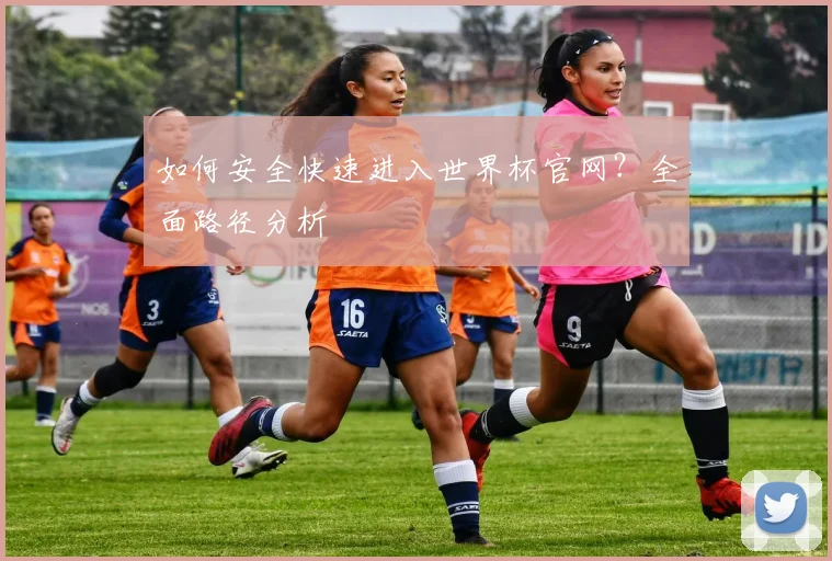 如何安全快速进入世界杯官网？全面路径分析