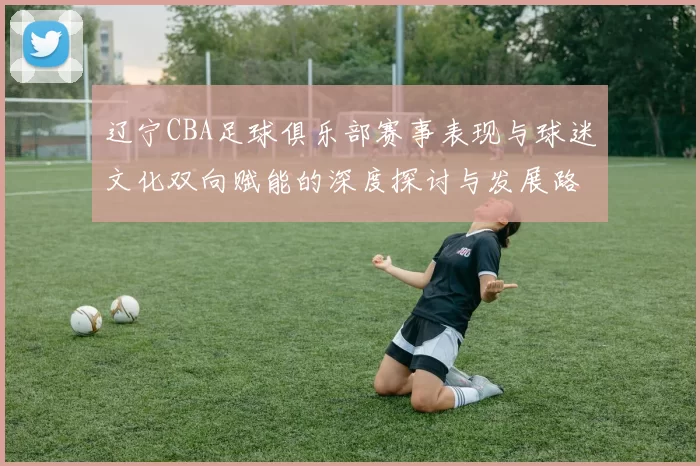 辽宁CBA足球俱乐部赛事表现与球迷文化双向赋能的深度探讨与发展路径分析