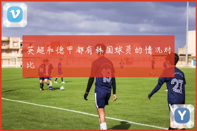 英超和德甲都有韩国球员的情况对比