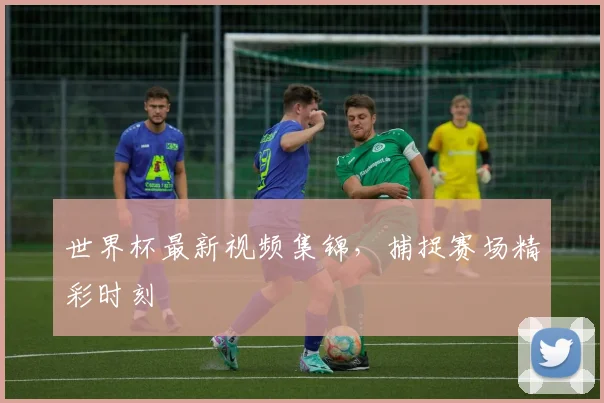 世界杯最新视频集锦，捕捉赛场精彩时刻