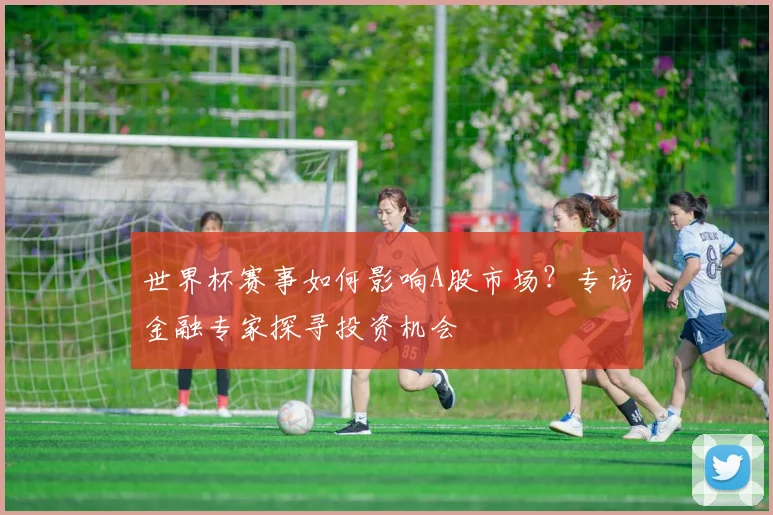 世界杯赛事如何影响A股市场？专访金融专家探寻投资机会
