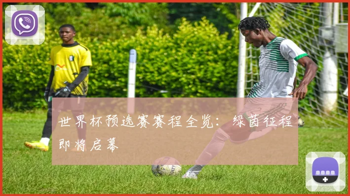 世界杯预选赛赛程全览:绿茵征程即将启幕